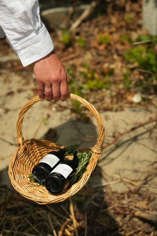 Mint + Basil Botanical Hand + Body Wash