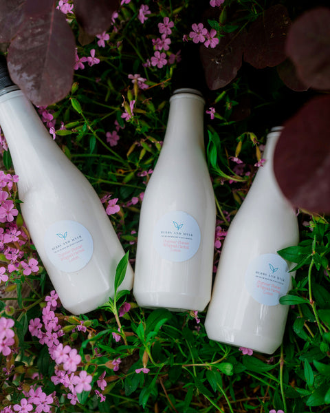 Summer Sunset Whipped Herbal Lotion